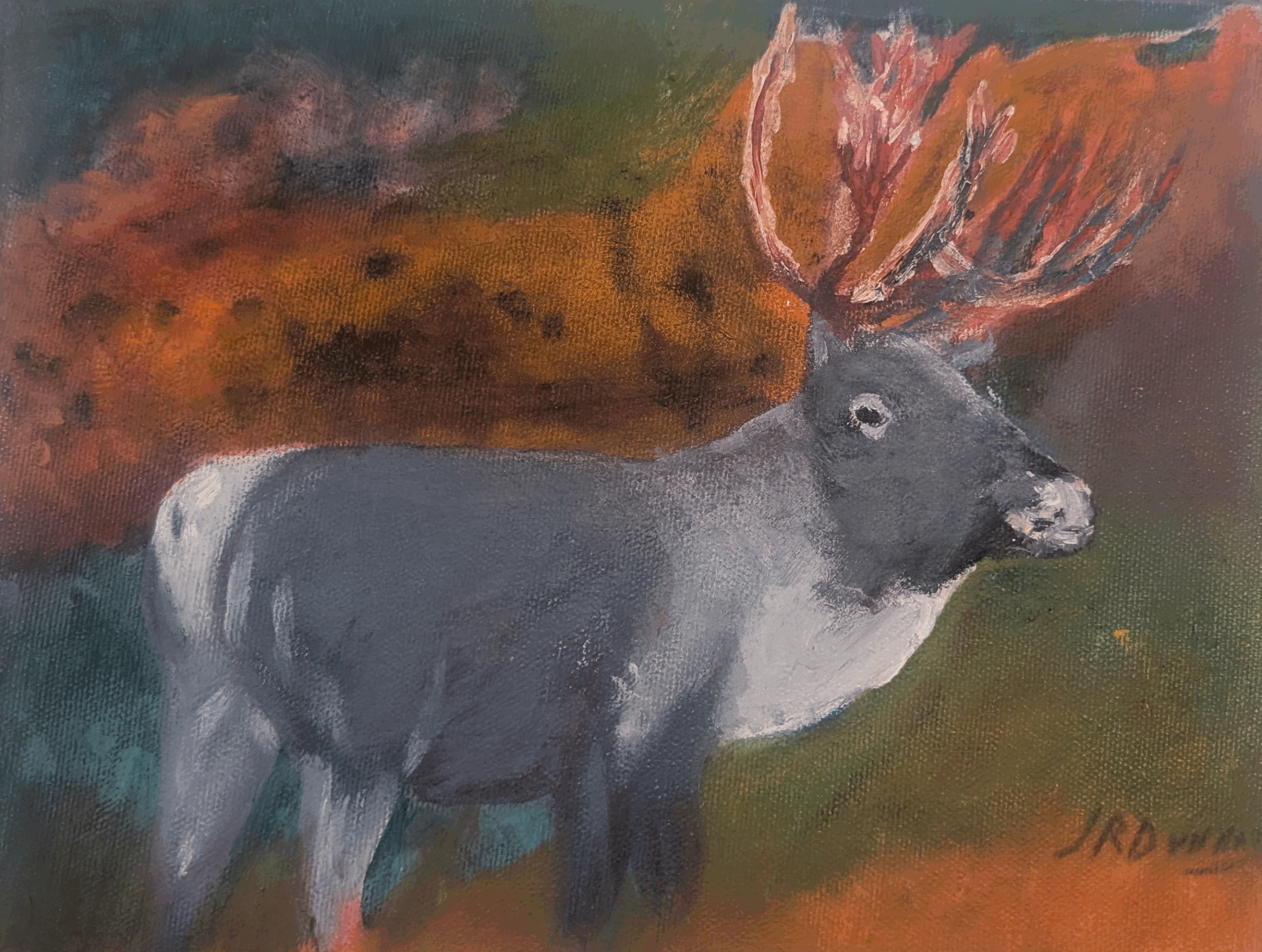 Elk